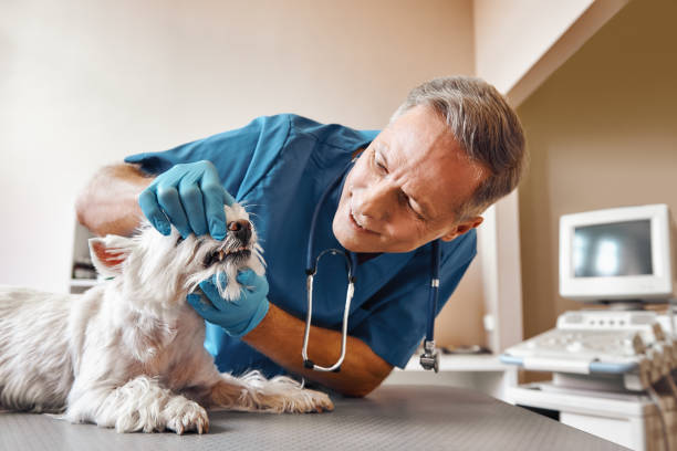 Best Emergency Tooth Extraction in Jellico, TN